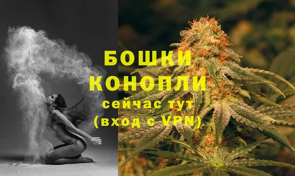 СК Вязьма