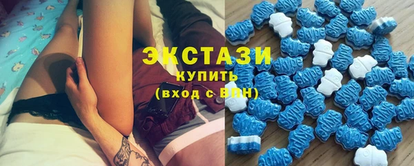 СК Вязьма