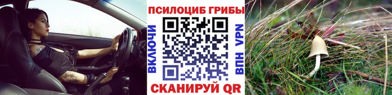 Купить где  Топки  Галлюциногенные грибы мицелий 